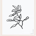 Elegant Blooms