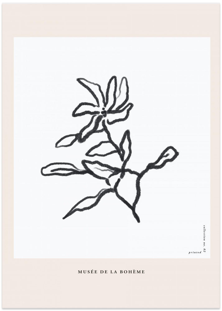 Elegant Blooms