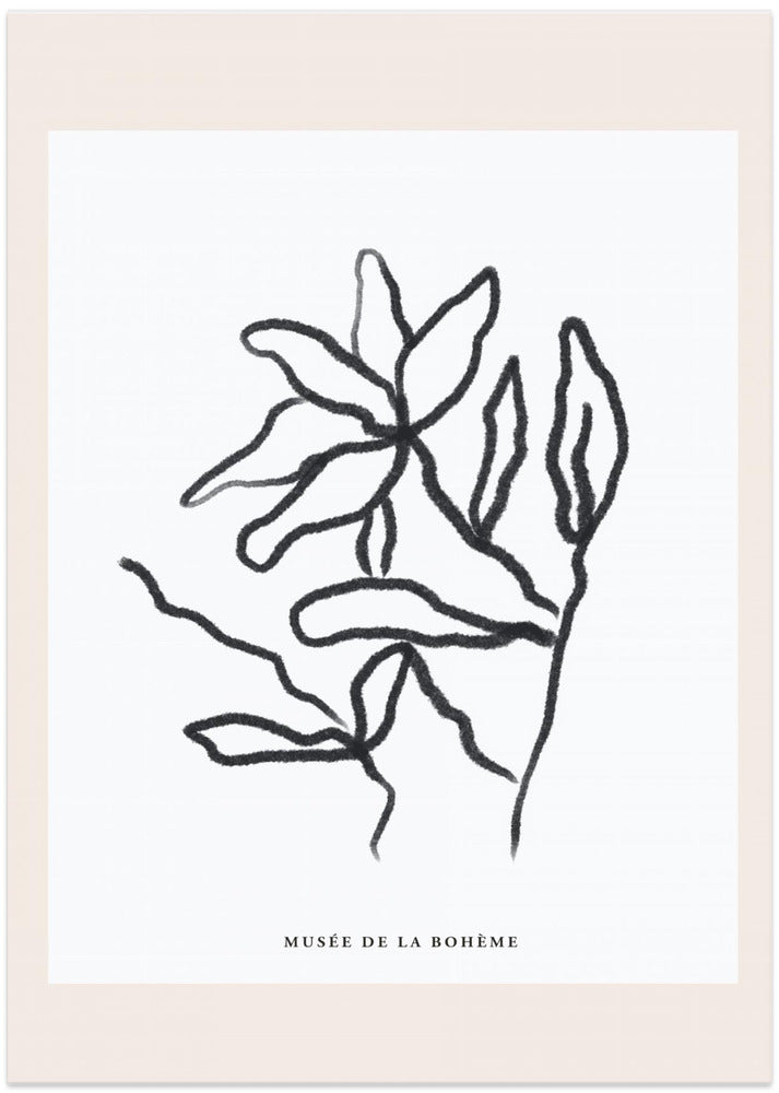 Sketchy Blooms