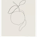 Lemon Linework Elegance