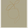 Minimalist Citrus