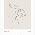 Minimal Leaf Line