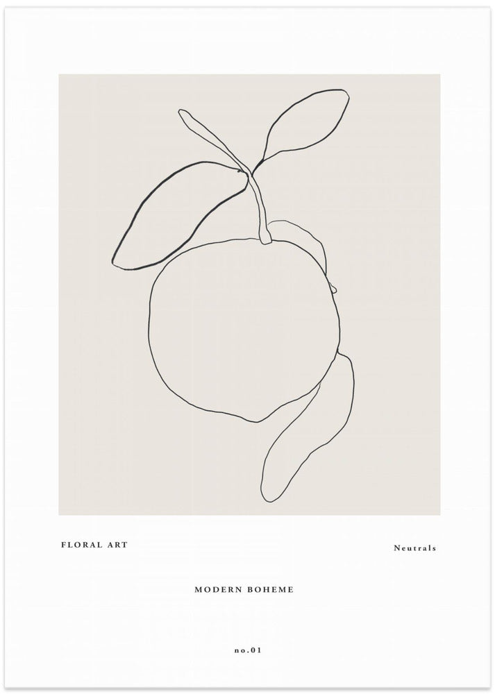 Minimalist Citrus