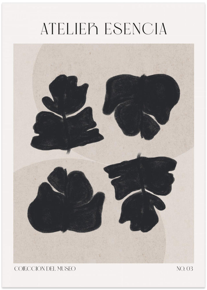Shadowed Leaves