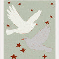 Starry Flight