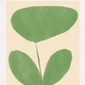 Tranquil Flora