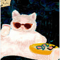 Animals Pets Cats