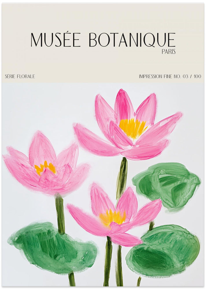 Museebotaniqueno05