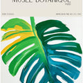 Museebotaniqueno07