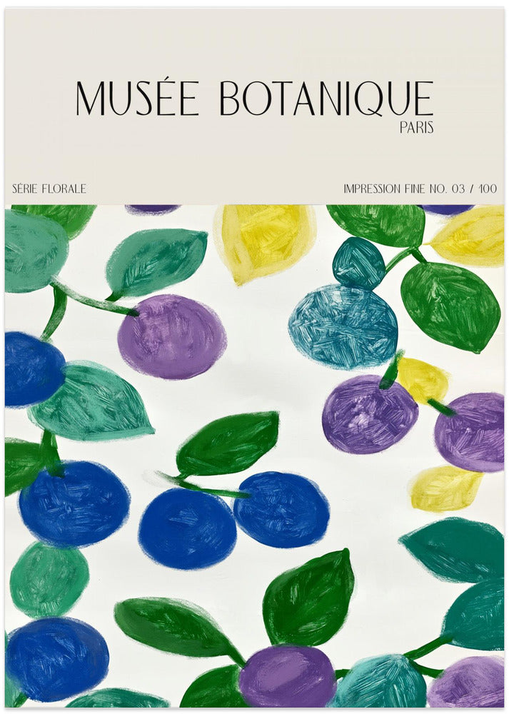Museebotaniqueno11