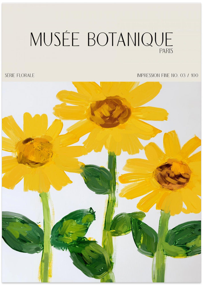 Museebotaniqueno27