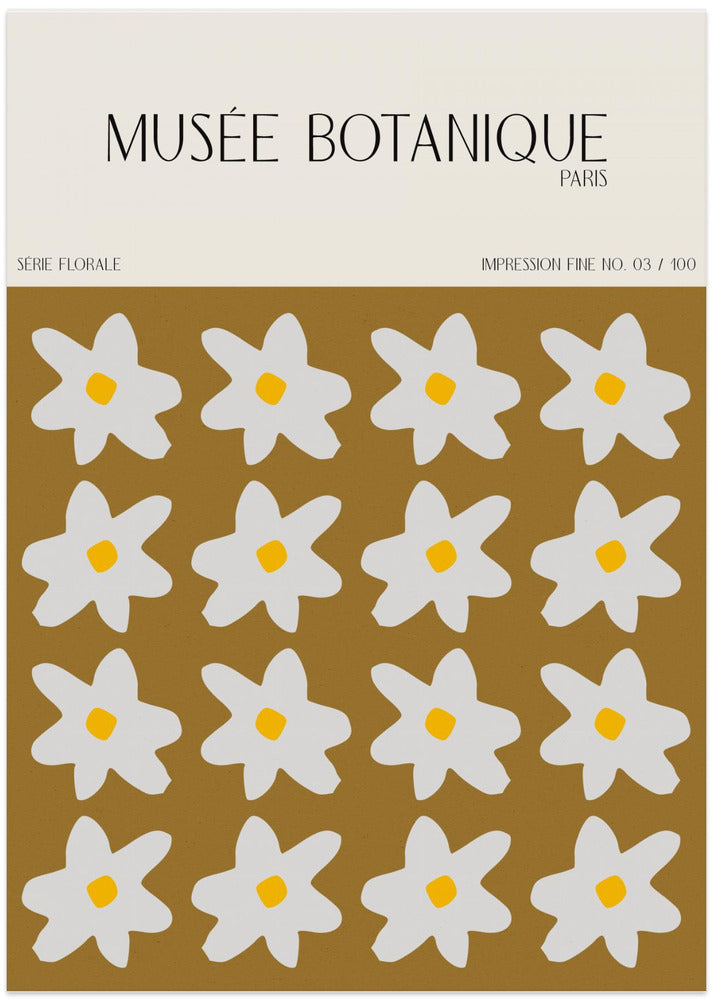 Museebotaniqueno41