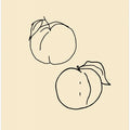 Peachy Duo Lines