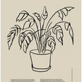 Potted Elegance