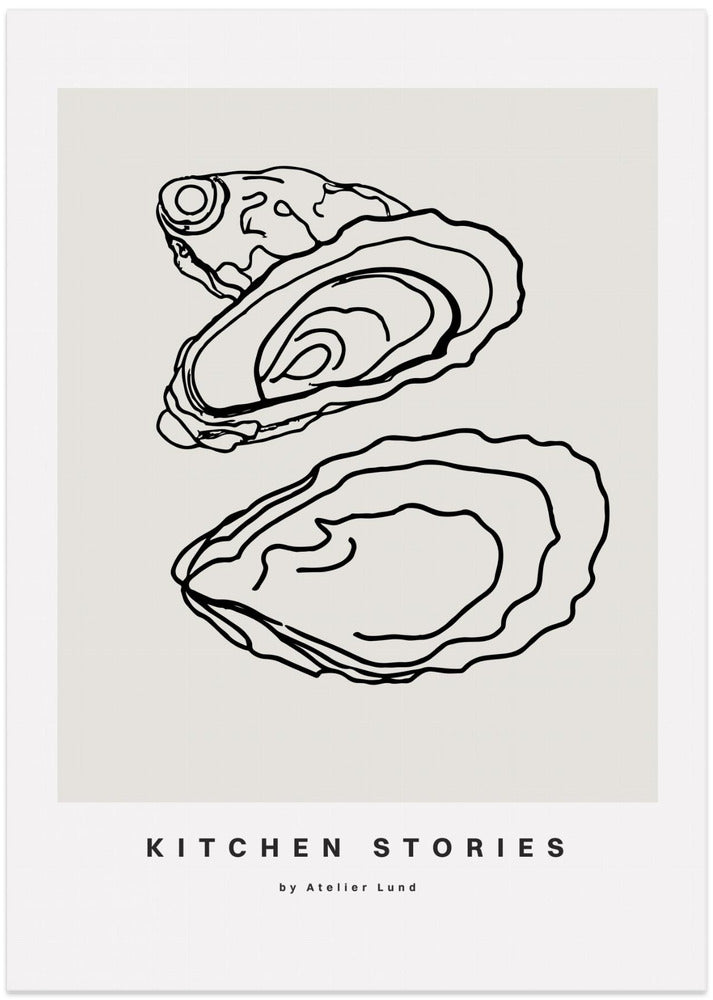 Oyster Outlines