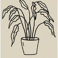 Botanical Affection