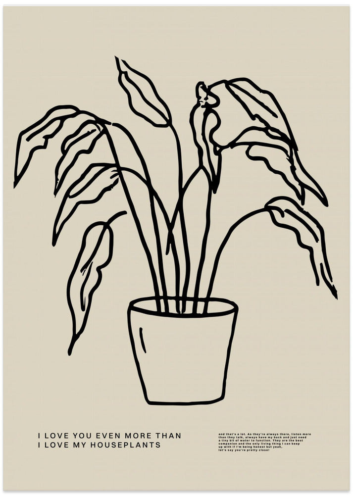 Botanical Affection