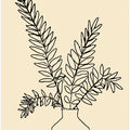 Line Leaf Harmony