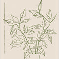 Greenery Simplicity