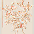 Minimalist Flora