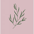 Minimal Leaf Elegance