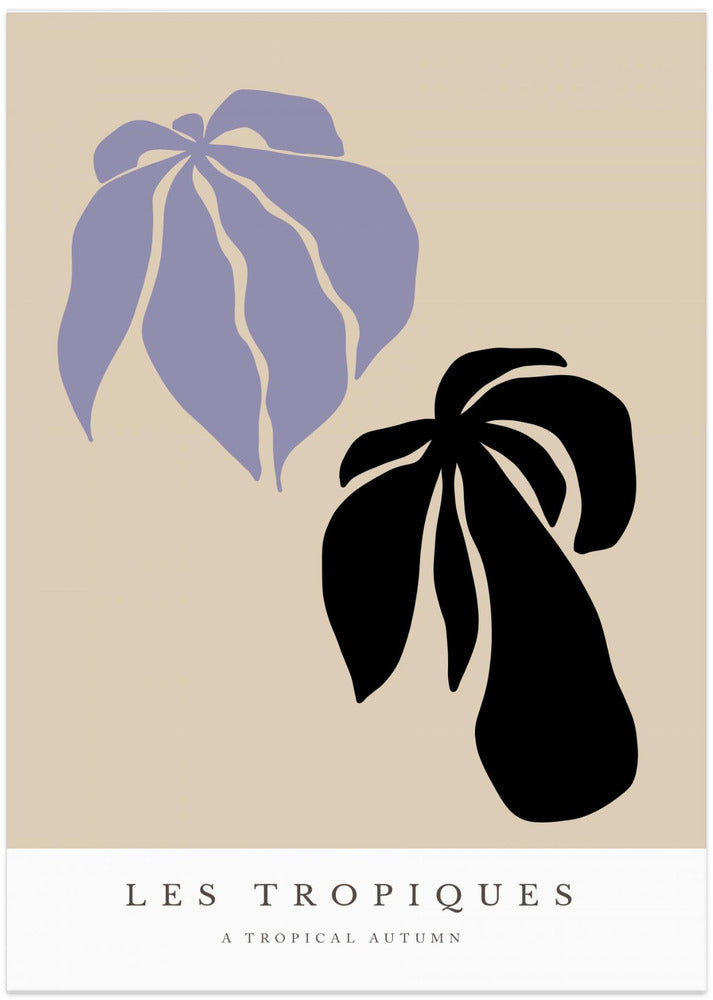Tropical Blooms