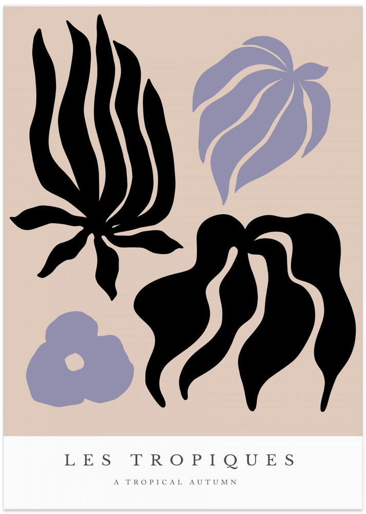 Abstract Tropics