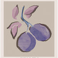 Plum Serenity
