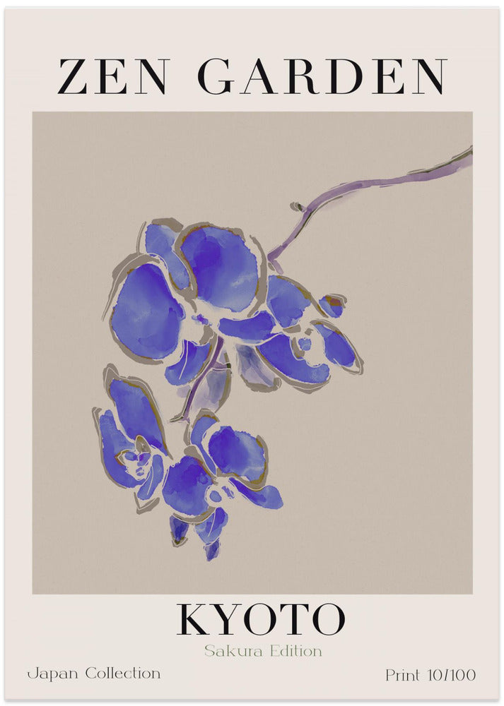 Blue Orchid Serenity