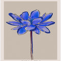 Tranquil Bloom