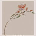 Sakura Tranquility