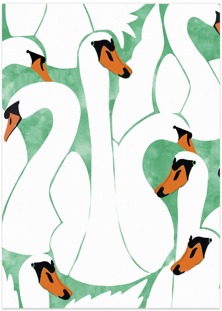 Graceful Swans