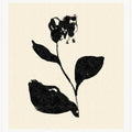 Shadow Blooming
