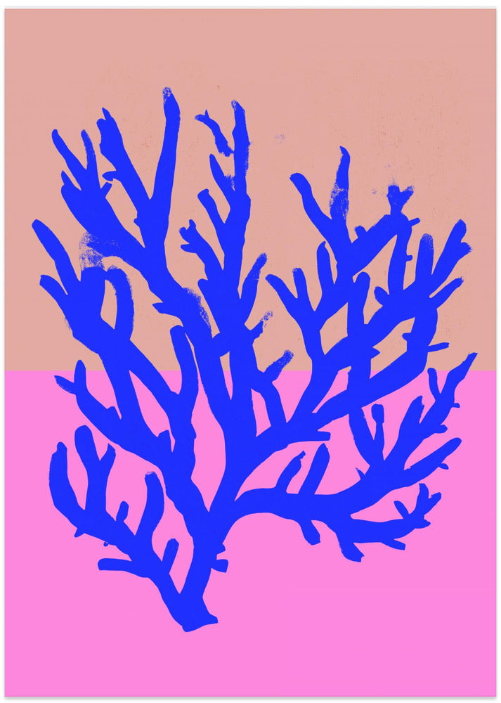 Coral Vibrance