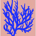 Coral Silhouette