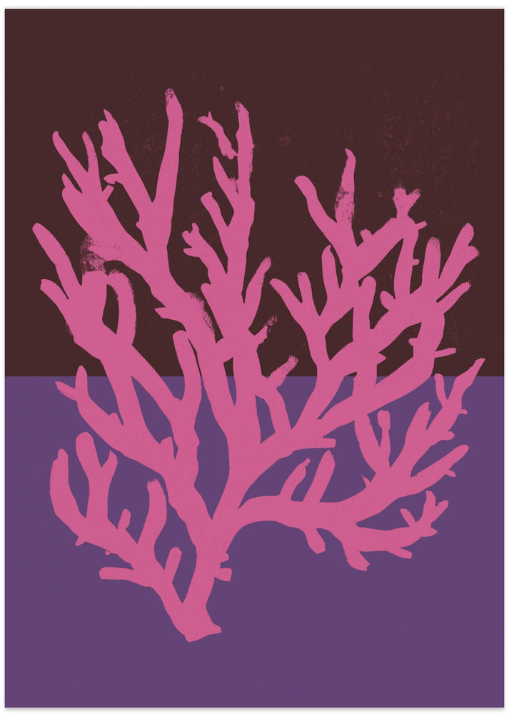 Coral Elegance