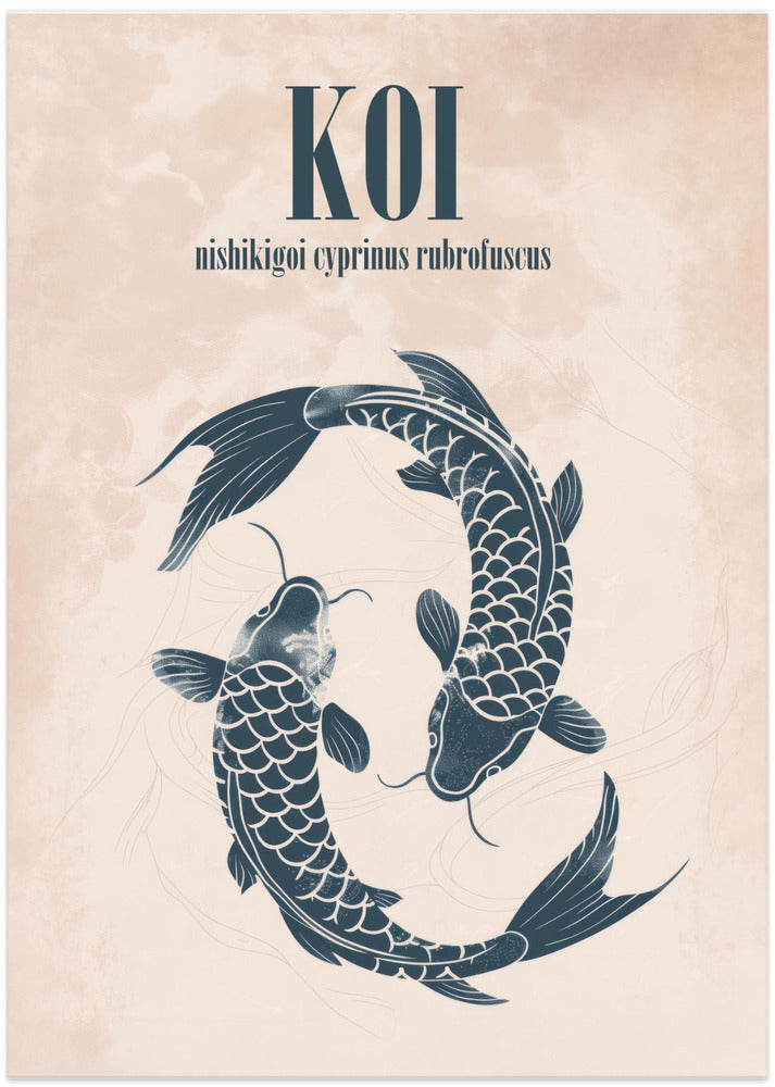 Koi Harmony