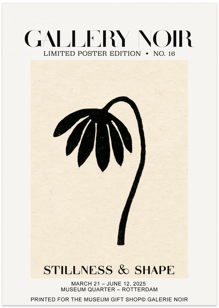 Gallerynoirno16