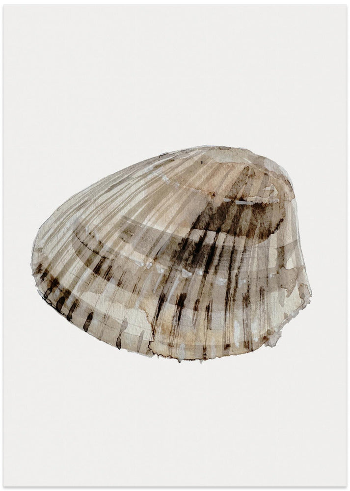 Seashell Serenity