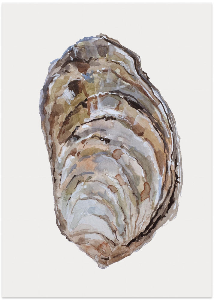 Oyster's Elegance