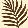 Silhouette Leaf