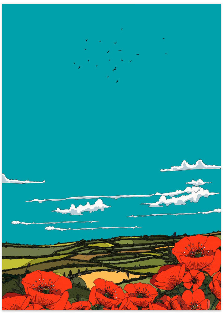 Summer poppy-field