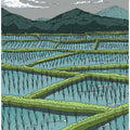 Chinese Paddy Fields