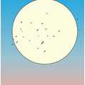 Birds In The Sky