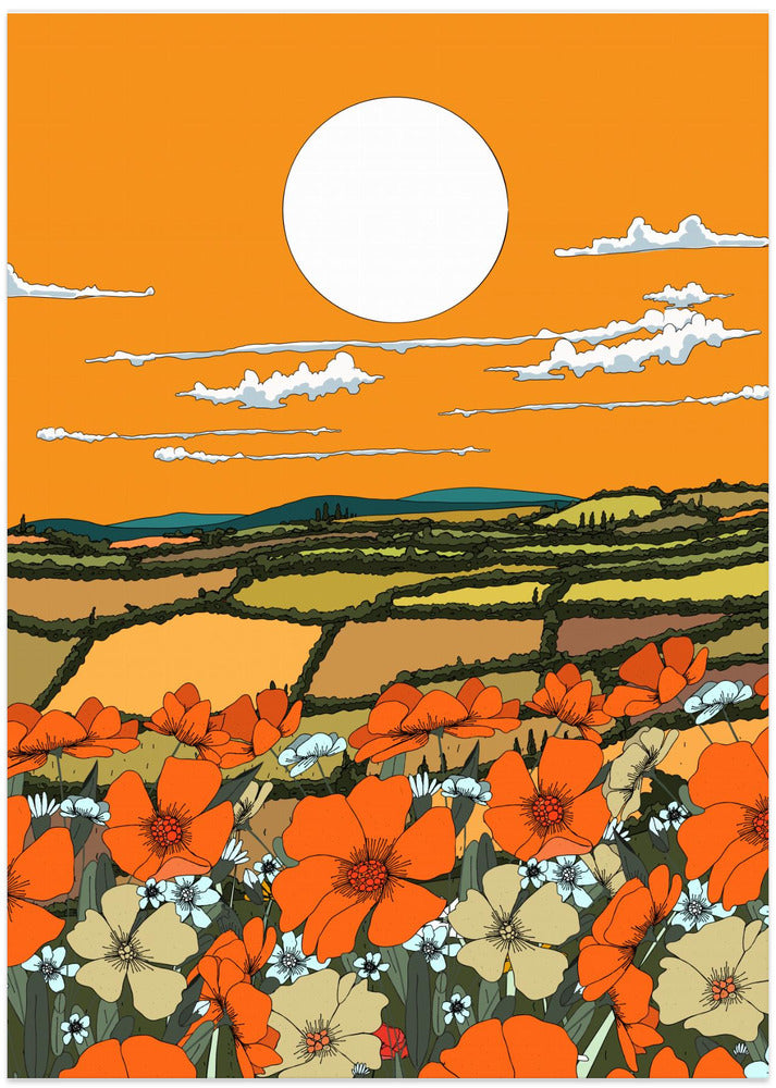 Poppy View At Dusk