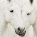 Equine Embrace