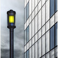Daylight Defiance