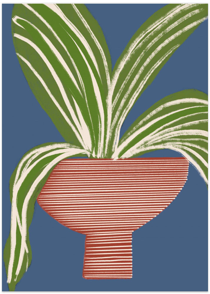 Modern Home Plant