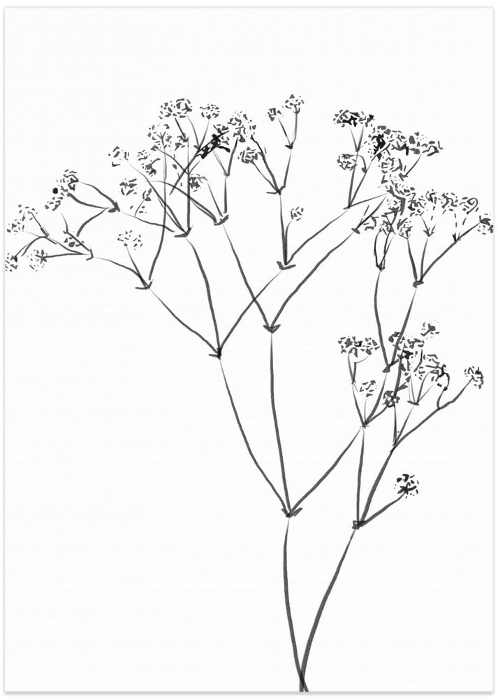 Drawing Line Plant
