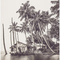 Tropical scene in Uganda